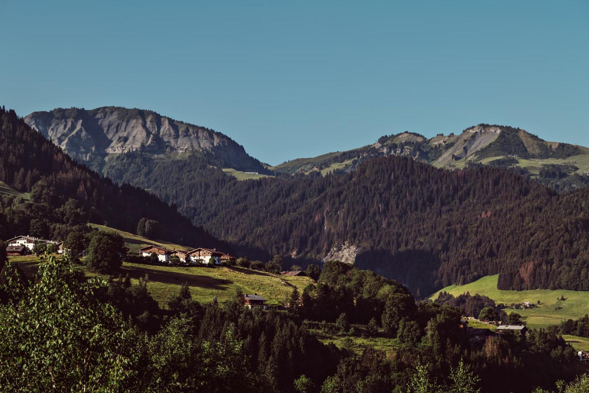 L'Alpaga, A Beaumier Hotel Megève Dış mekan fotoğraf